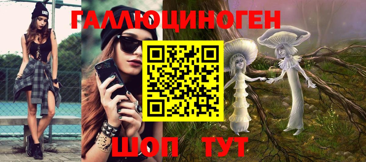 Галлюциногенные грибы Psilocybine cubensis Хабаровск