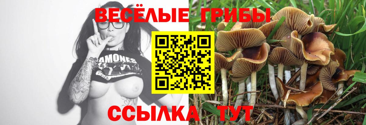 Хабаровск  Галлюциногенные грибы GOLDEN TEACHER  Псилоцибиновые грибы мицелий  Вход с VPN 